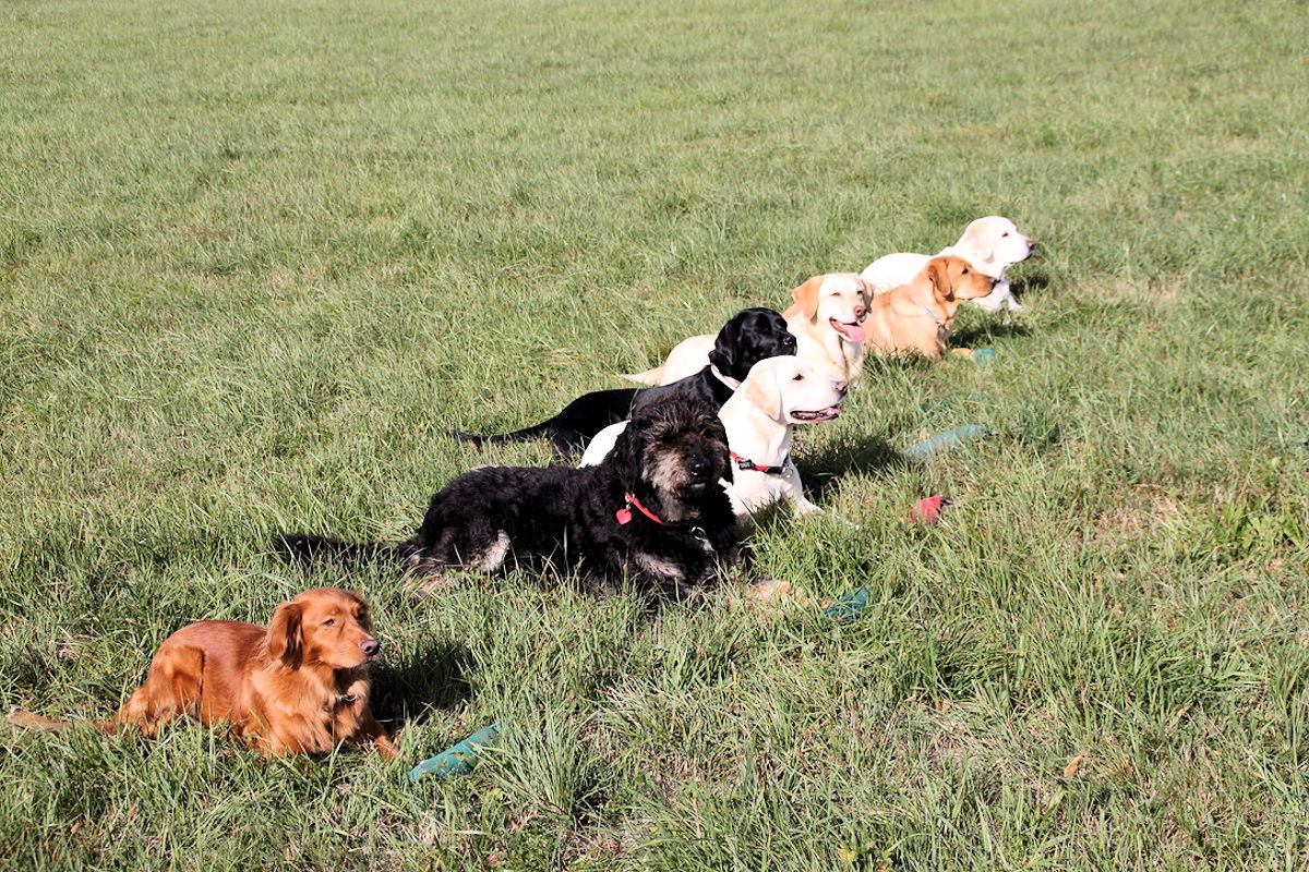 Dummy Gruppenbild
